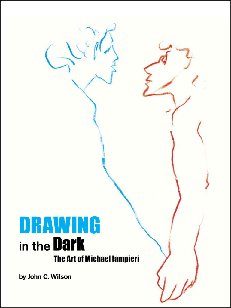 Drawing in the Dark cover